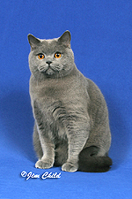 14_Innocentia Alexander Blue Bear